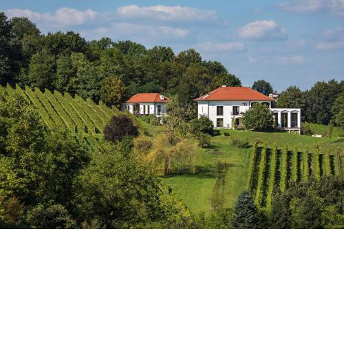 Weingut Hirschmugl - Domaene am Seggauberg