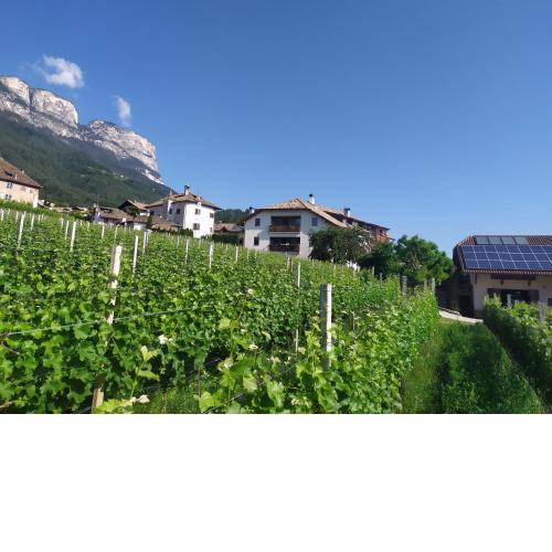 Weingut Lahn zu Eppan