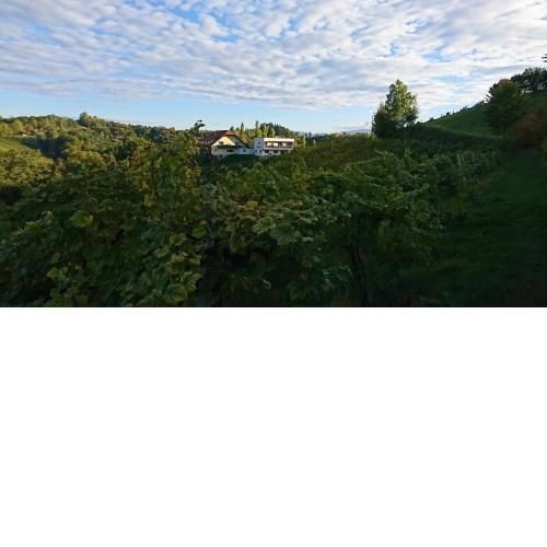Weingut Winzerzimmer Toso