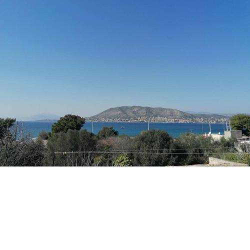 Welcome in Salamina