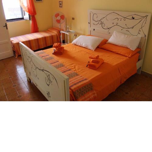 Welcome to the "Rossinelli Lodge"