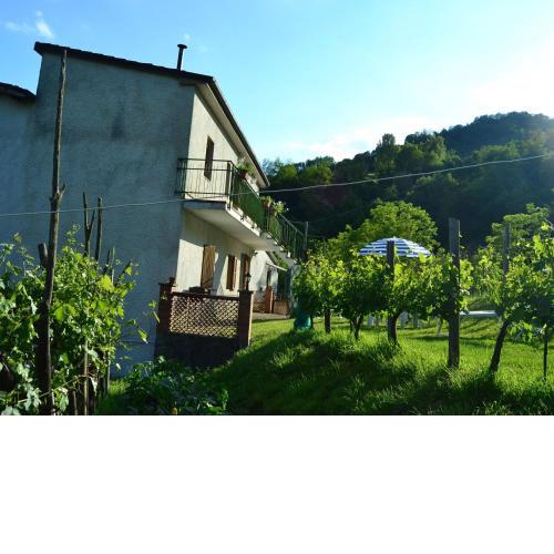 Welcoming Holiday Home in Molazzana with Private Pool