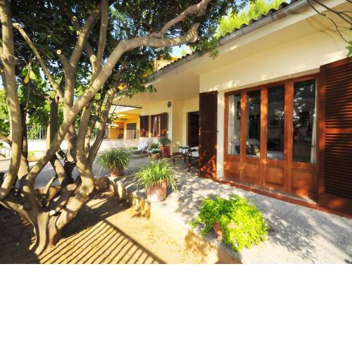 Well maintained house with garden 100m from the beach patio BBQ and wifi