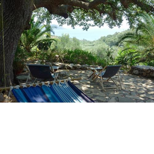 Wellanidia Cottage Skoutari