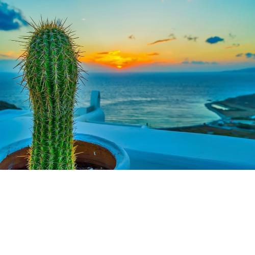 White Rock Suites & Villas