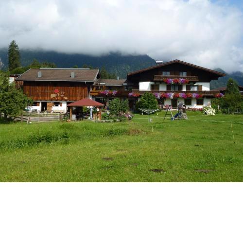Wiesingbauer
