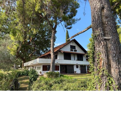 Wild Oaks Cottage