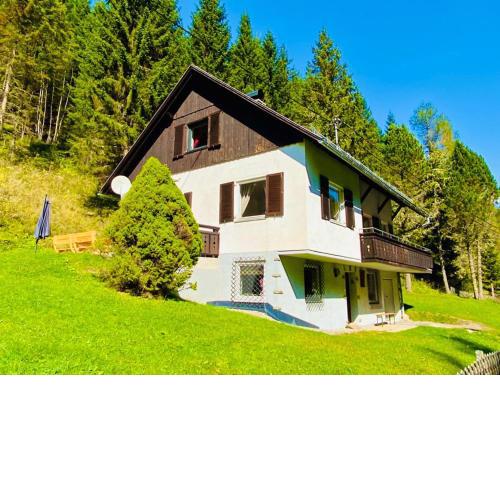 Wildbach Chalet Turrach