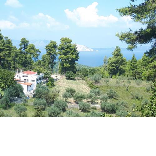 Wildherb House