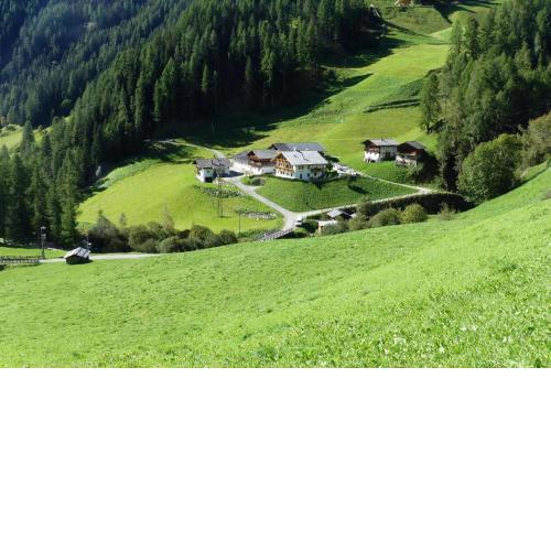 Wohnung Fichte