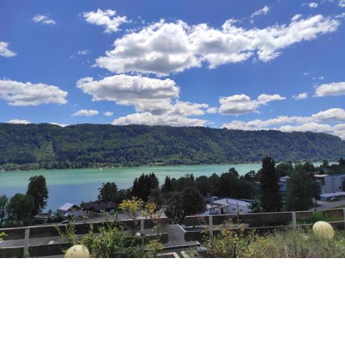 Wohnung Seeblick