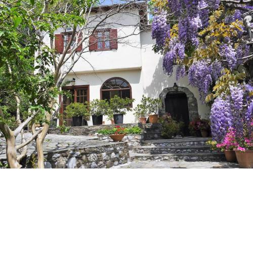 Wonderful 4 Bedroom Villa & separate guest house Villa Thalia