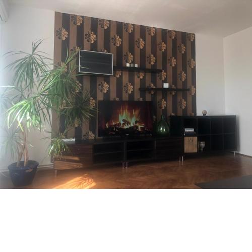 Wonderful garden House with infrasauna