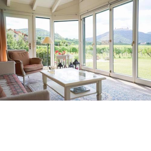 Wonderful Villa among the Vineyards