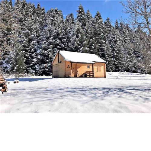 Wood Cabin by the River - for Nature Lovers