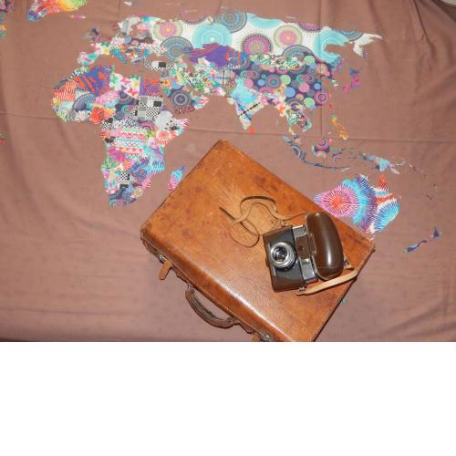 World Explorer