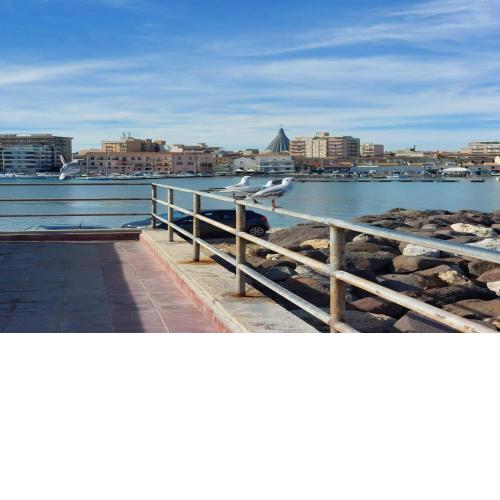 Xenia and Selene Home 200mt from sea Apartments - Happy Rentals