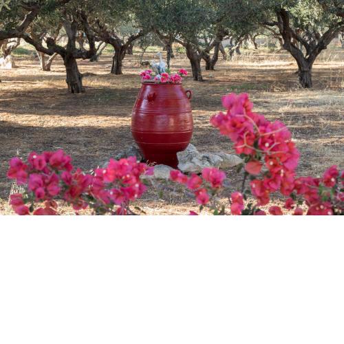 Xirouchakis farm