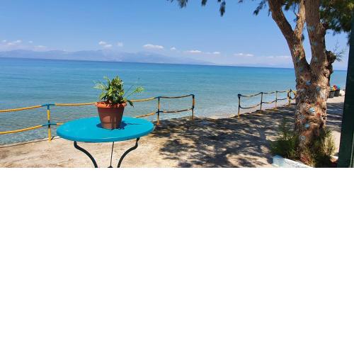 Xylokastro Beachfront Residence