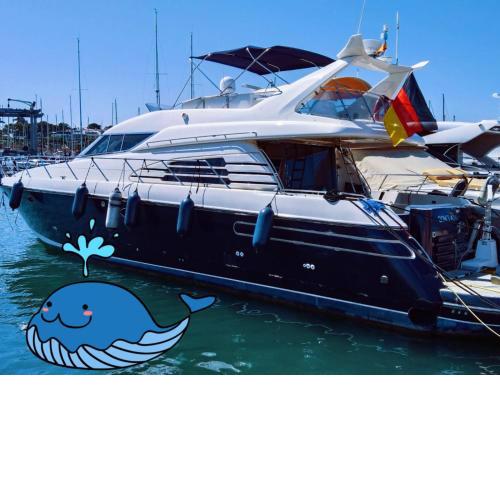 Yacht 18m Sunseeker in Mallorca