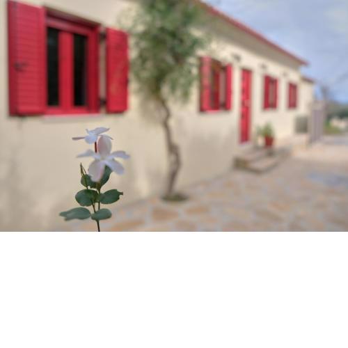 Yasemia Wood & Stone Villa