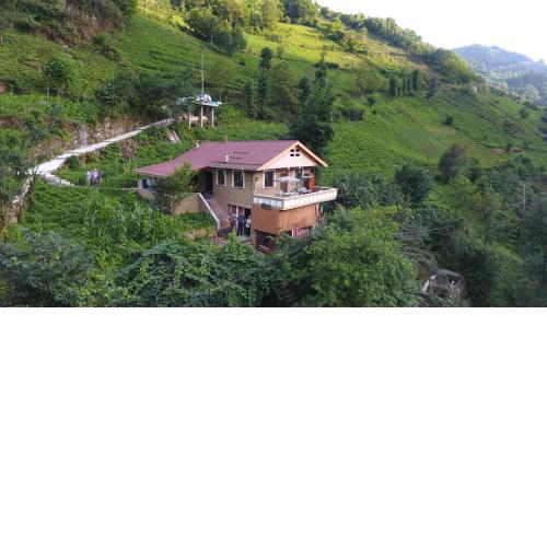 Yeşil Doğa Tatil Apart