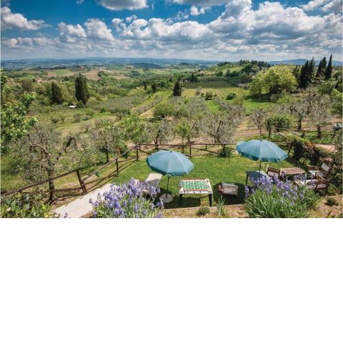 Zafferano 1