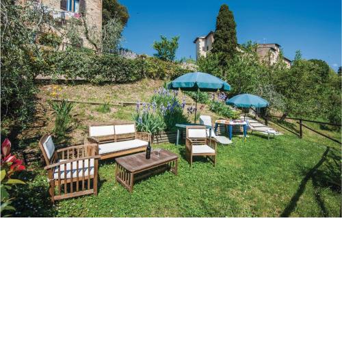 Zafferano 2
