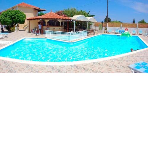 Zante 523