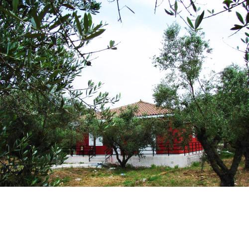 Zante Green View