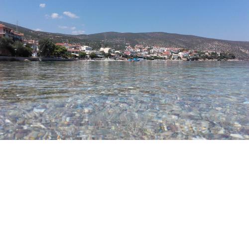 Zavitsa