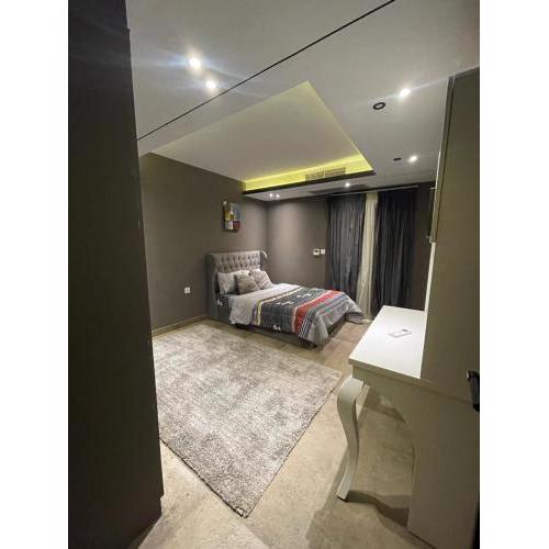Zayed Dunes family flat