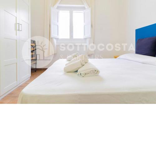 Zecca's Flat