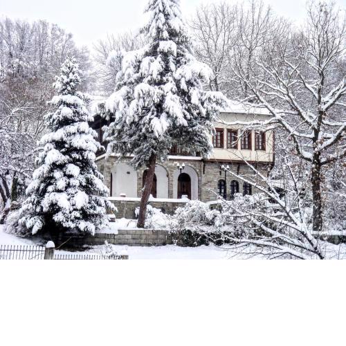 Zenios Dionysos - Traditional villa