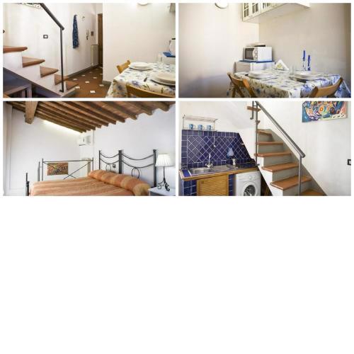 Zmax Zanobi Studios