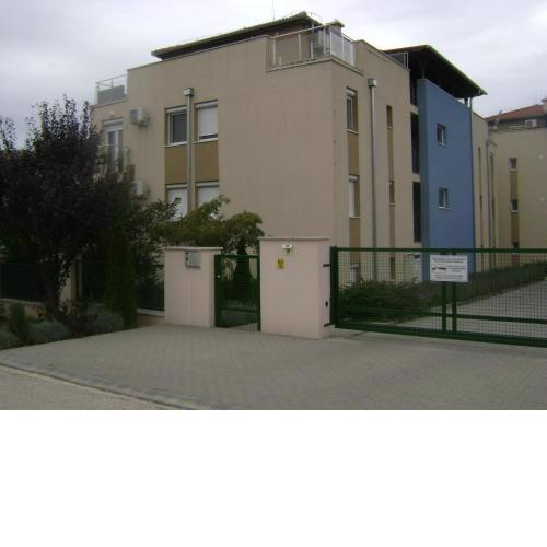 Zöldlomb apartman
