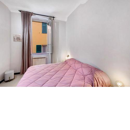 zona Carmine