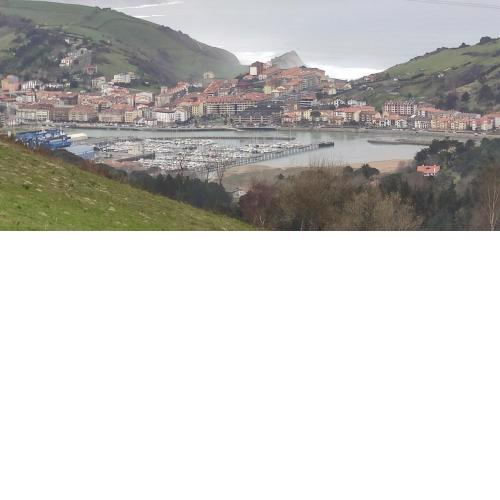 Zumaia Basque Alai