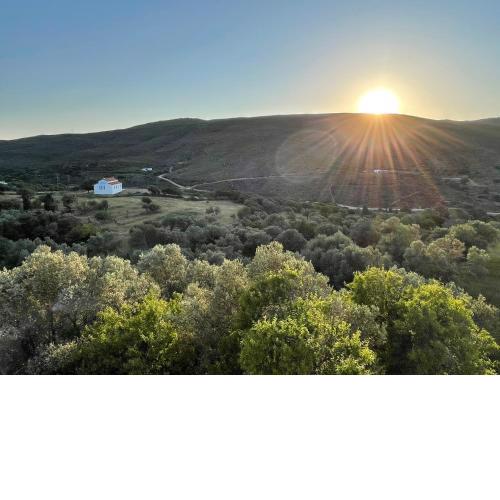 Aegean Cottage Andros