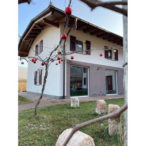 Trentio Alto Adige