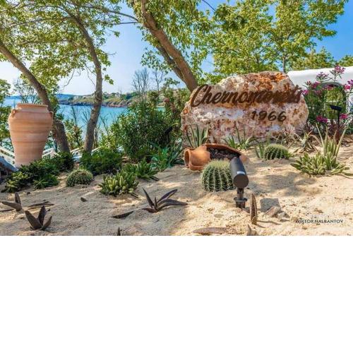 Captain's Island Deluxe