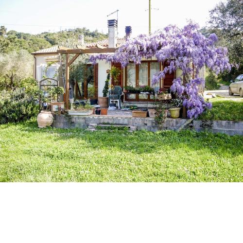 Casa Violet