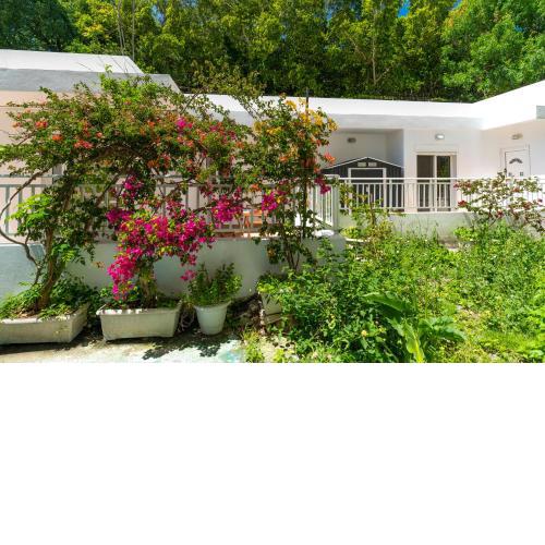 Haven Home- An Oasis in the Heart of Rhodes, next to Old Town, near beaches