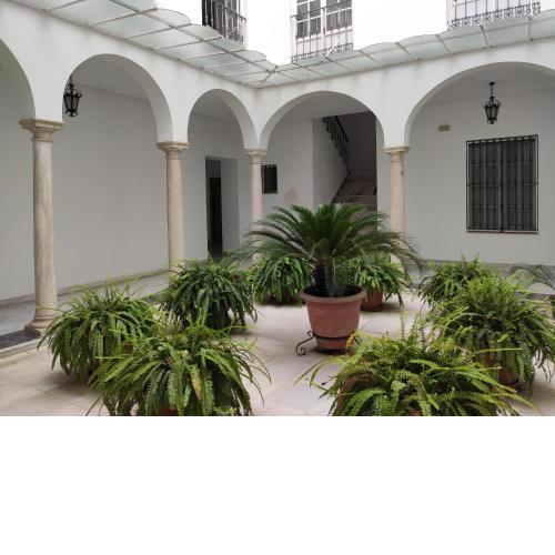 Suite Apartament Cathedral